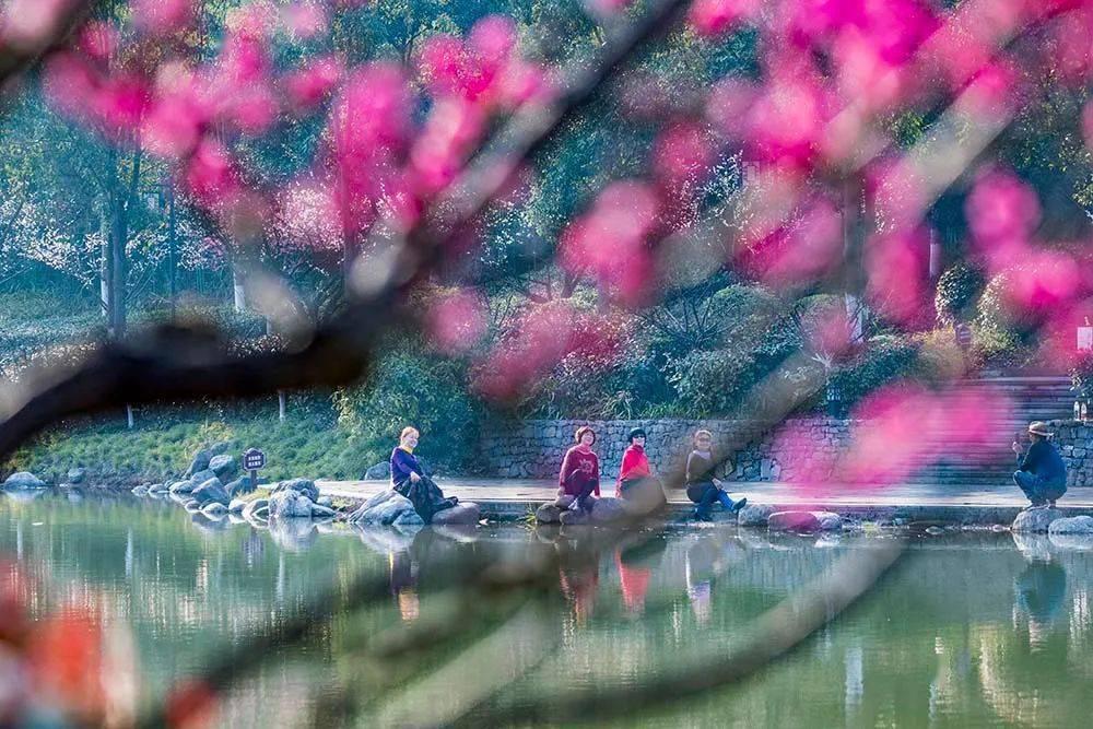 常州经开区:项目建设再突破 争当产业“排头兵”