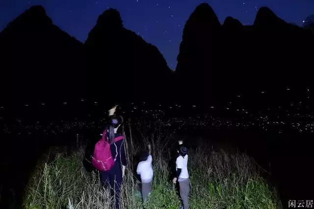 披萨找不同
